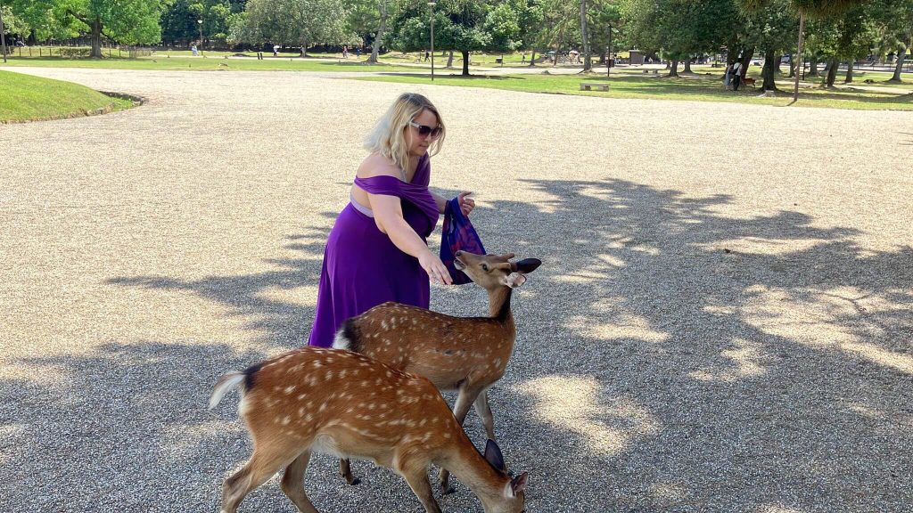 Nara, Japan, hranjenje jelena