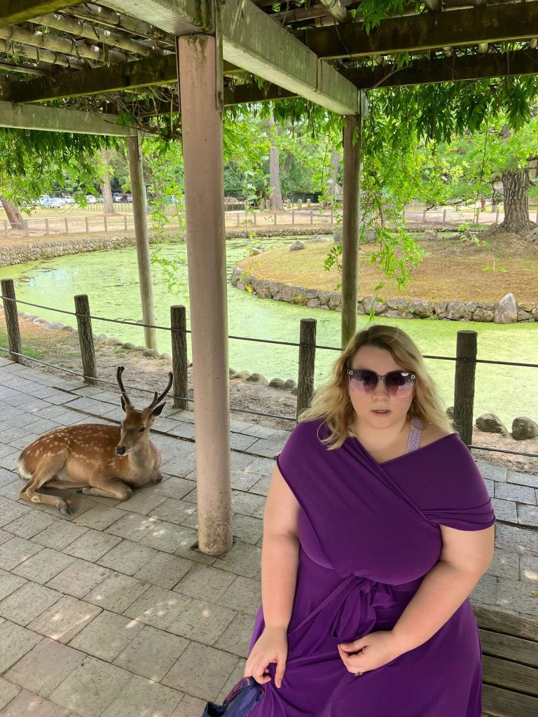 Nara, Japan, hranjenje jelena