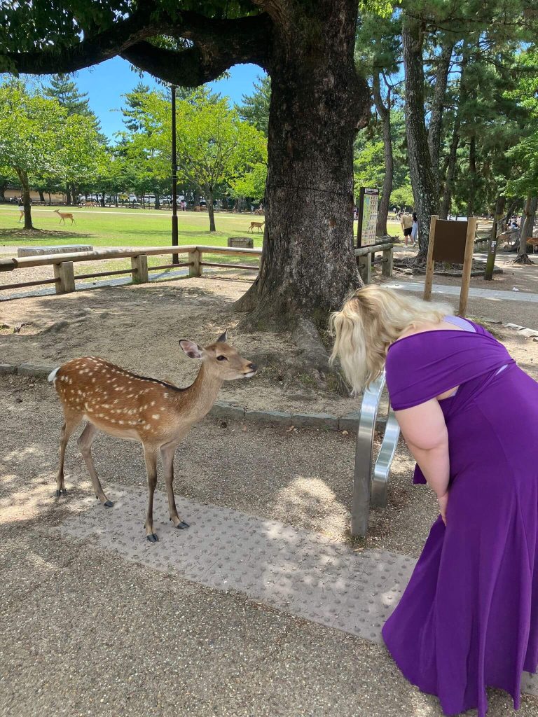 Nara, Japan, hranjenje jelena