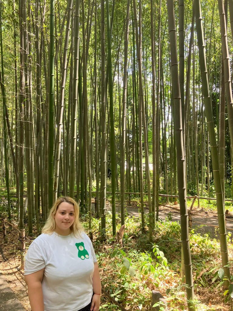 Arašijama, Kjoto, Japan
