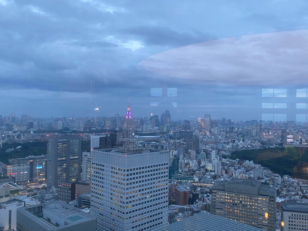 Pogled sa Metropoliten zgrade u Tokiju